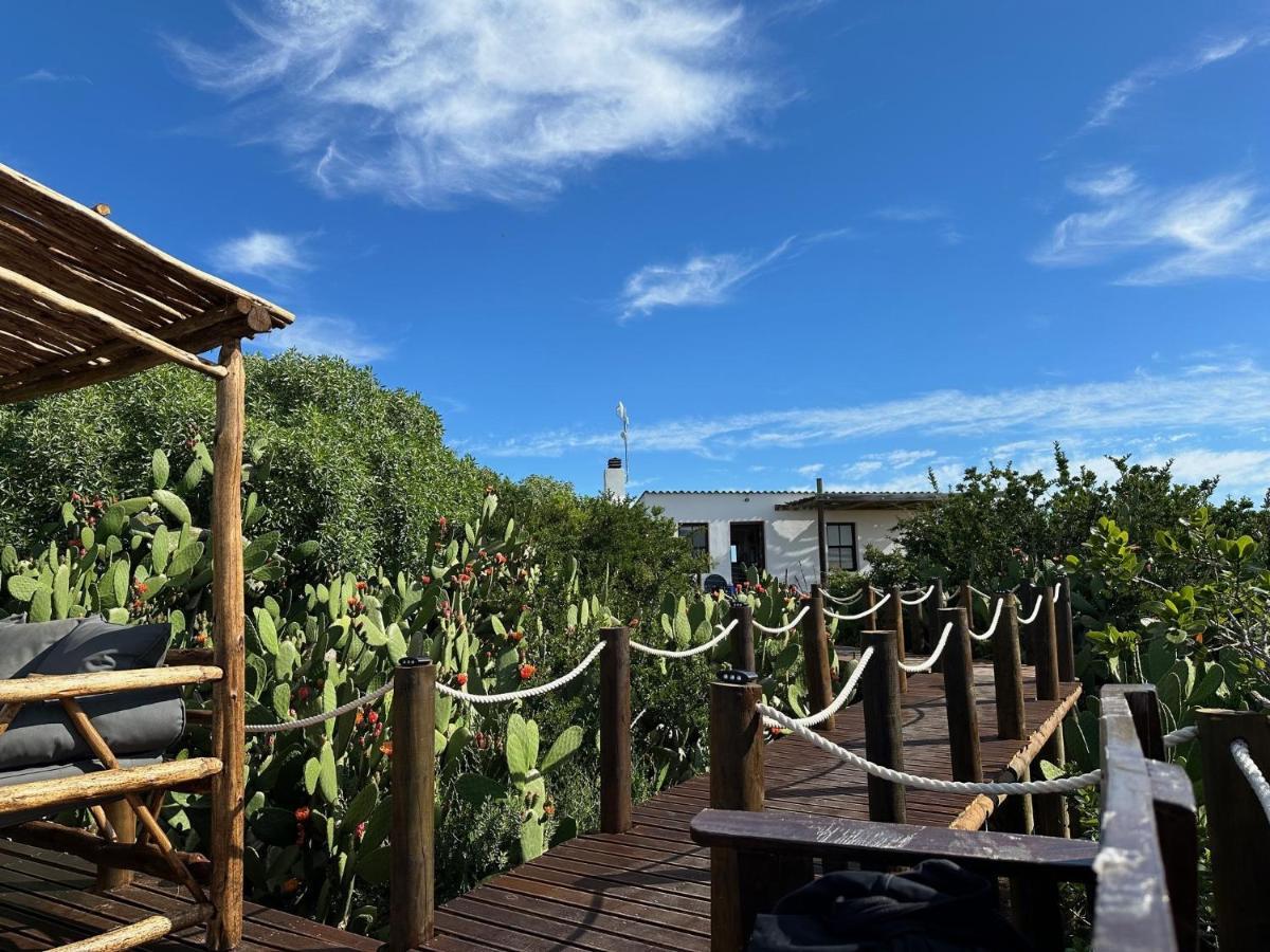 Ostrich Cottage At Les Wings Private Game Farm Groot-Jongensfontein Εξωτερικό φωτογραφία